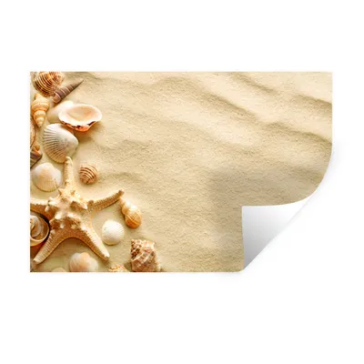 Obrázok produktu pre MuchoWow® Nálepka na stenu - Mušle - piesok - pláž - 90x60cm - Samolepiaca a polohovateľná