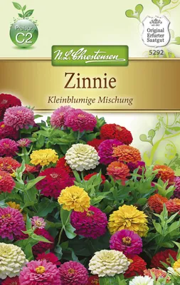 Produktbild von Zinnie Kleinblumige Mischung  | Zinniensamen von N.L. Chrestensen