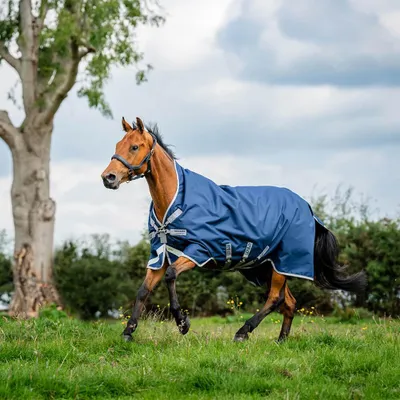 Immagine prodotto di Coperta da paddock Horseware, taglia 160 - Amigo 1200D Wug Turnout, 150g - Blu navy/Grigio titanio/Argento