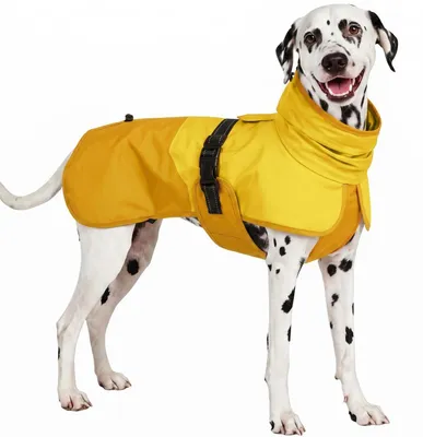 Immagine prodotto di Impermeabile per cani con strisce riflettenti gialle, taglia XL