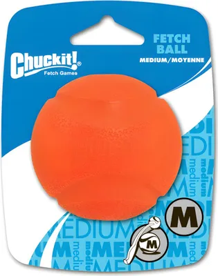 Produktbild von Chuckit Fetch Ball M 6 cm 1 Pack