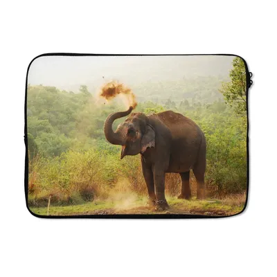 Produktbild von MuchoWow® Laptop Hülle 14 ZollElefant - Tiere - Wald - Bäume Laptoptasche - Laptoptasche - Stoßsicher - Schutzhaube