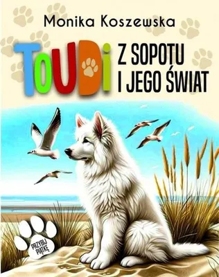 Produktbild von Toudi z Sopotu i jego świat - książka dla dzieci