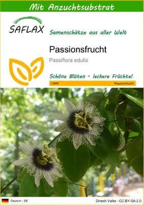 Produktbild von SAFLAX - Passionsfrucht - Passiflora edulis - 40 Samen - Mit keimfreiem Anzuchtsubstrat