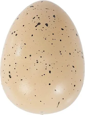 Produktbild von SES Creative 25063 Creative Schlüpfender Dino Überraschung Dinosaurier Schlüpf-Ei - Entdeckungsspielzeug für Kinder - Wissenschafts- und Lernspielzeug, Egg, Biologie, 4 Jahr(e), Mehrfarbig