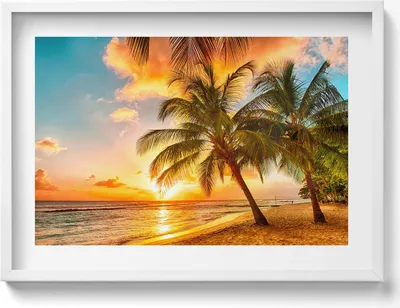 Produktbild von Palme am Strand bei Sonnenuntergang– Wandbild mit Rahmen – Gerahmtes Bild  – Wanddekoration – 70x50 cm –  Weiß Rahmen