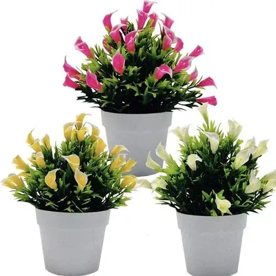 Immagine prodotto di Unyqoos® Set di 3 calle artificiali – 20 cm di altezza, diametro 12 cm | Composizione decorativa in vasi bianchi con muschio artificiale, ideale per matrimoni e ambienti domestici