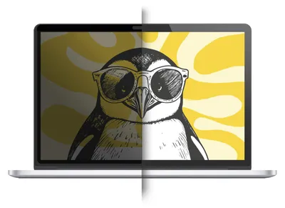 Image de DOODROO Filtre confidentialité amovible pour MacBook Air 15.3"
