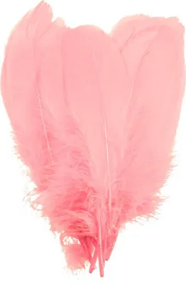 20 schöne Gänsefedern Kostümzubehör ca. 14-17,rosa