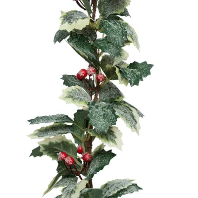 Image de Guirlande de feuilles de houx, 180 cm