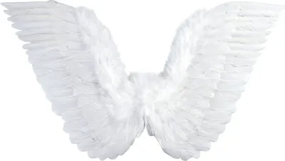 Produktbild von Weiße gefiederte Flügel 78 x 36 cm - Engelsflügel Teufel - weiß