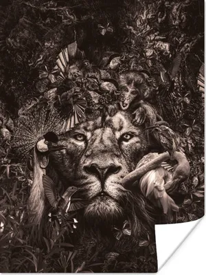 Produktbild von MuchoWow® Poster Löwe - Tiere - Affe 30x40 cm - Wandplakat - Poster Kinderzimmer