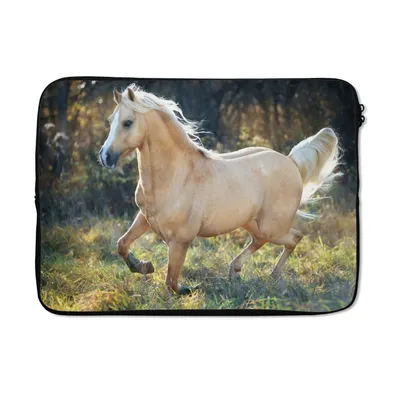 Produktbild von MuchoWow® Laptop Hülle 14 ZollPferd - Natur - Braun Laptoptasche - Laptoptasche - Stoßsicher - Schutzhaube