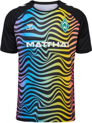 Produktbild von Hummel Werder Bremen 2024 2025 Torwarttrikot Herren mehrfarbig Gr XL