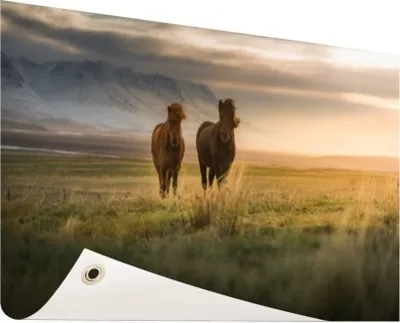 Produktbild von Gartenposter - 60x40 cm - Islandpferde auf dem Feld  - Modernes Wandbilder - NutzTierposter