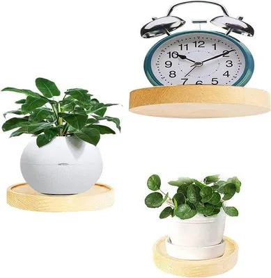 Produktbild von Unyqoos® Runde Wandregale aus Buchenholz – schwebende runde Regale 20/15/10 cm, 3er-Set, je 5 kg Tragkraft, inkl. Schrauben & Dübel, für Küche/Bad/Wohnzimmer/Schlafzimmer
