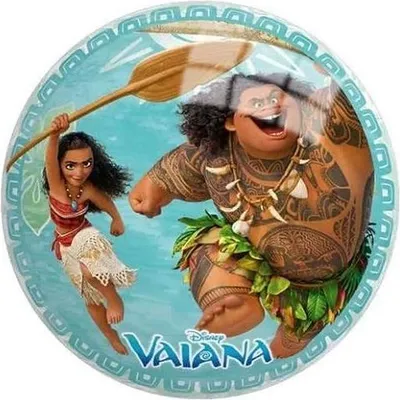 Produktbild von John Ball 9"/230mm Disney Vaiana 130054966