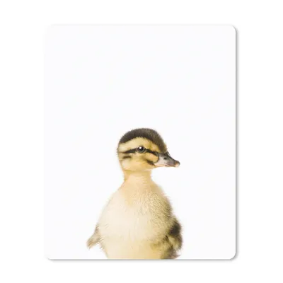 Produktbild von MuchoWow® Mauspad Mousepad Ente - Gelb - Tiere - Natur 30x40 cm - Mousepads - Maus Mat - Pad - Mausunterlage - Mausmatten