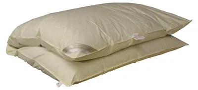 Produktbild von Winterbett Oberbett Ballonbett Schüttelbett 155x220 cm, 2000 g Füllung, 100% Daunen, warm und gemütlich, Naturprodukt