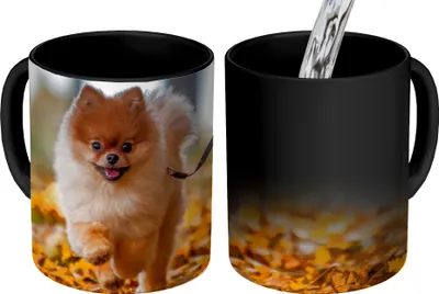 Obrázek produktu pro MuchoWow® Kouzelný pohár Pomeranian v listech 350 ml Barva měnící se pohár Dárkový nápad - foto hrnek