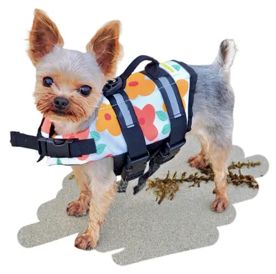Produktbild von Schwimmweste für kleine Hunde mit Griff und reflektierenden Streifen