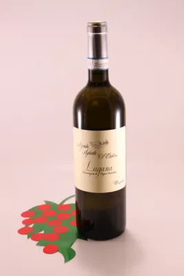 Produktbild von Lugana Vigneto Massoni - 2022 - Kellerei Santa Cristina