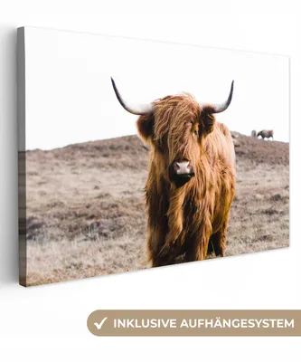 Produktbild von MuchoWow® - Leinwandbilder - Schottische Highlander - Landschaft - Kuh - Braun - Tiere - Natur, Wandbild, Wanddeko Bilder Wohnzimmer, 30x20 cm