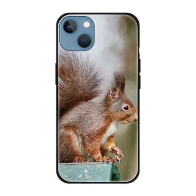 Produktbild von König Design Hülle kompatibel mit Apple iPhone 13 Kunststoff Soft Handyhülle - Handy Case Eichhörnchen