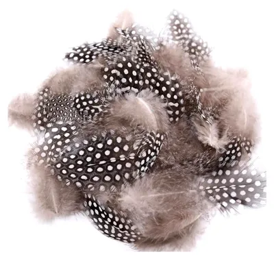 Produktbild von 100 Stück Natürliche Perlhuhn Federn zum Basteln, Hühnerfedern für DIY Kunstwerke, Ohrringe, Traumfänger, Maniküre, falsche Wimpern, Hüte, Masken und Haarschmuck, natürliche Farben