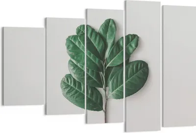 Produktbild von Bild auf Leinwand - Leinwandbild - 5 Teile - Blätter Pflanzen Botanik - 150x100cm - Wand Bild - Wanddeko - Wandbilder - Leinwanddruck - Bilder - Wanddekoration - Leinwand bilder - EG150x100-4956
