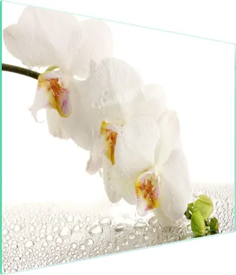 Produktbild von Glasschneidebrett 52x30 Orchidee