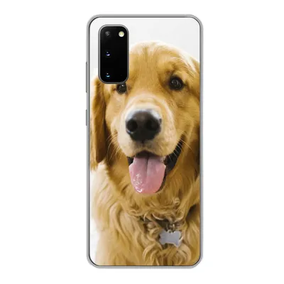 Produktbild von MuchoWow® Handyhülle Schutzhülle Hülle für Samsung Galaxy S20 Porträt eines superschönen Golden Retrievers Silikon Softcase Handy Hülle - Bild