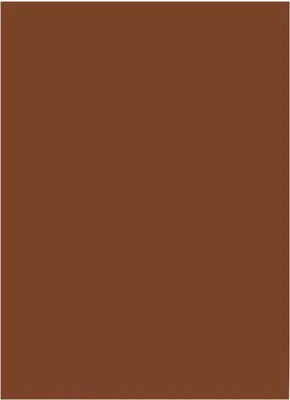 Produktbild von folia Tonpapier DIN A3 130 g/qm schokobraun 50 Blatt