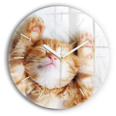 Produktbild von Wallfluent Wanduhr – Stilles Quarzuhrwerk - Uhr Dekoration Wohnzimmer Schlafzimmer Küche - Zifferblatt mit Striche - weiße Zeiger - 30 cm - Schlafende kleine Katze