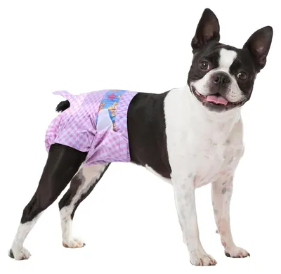 Produktbild von Superabsorbierende Hundewindeln für Hündinnen, Größe M, 20 Stück