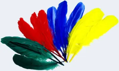 Produktbild von 12 Indianerfedern sortiert