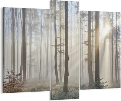 Produktbild von Bild auf Leinwand - Leinwandbild - Wald Baum Natur - 95x80cm - Wand Bild - Wanddeko - Wandbilder - Leinwanddruck - Bilder - Kunstdruck - Wanddekoration - Leinwand bilder - Wandkunst - CB95x80-3749