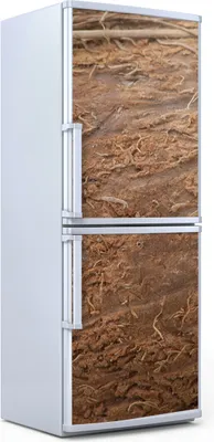 Produktbild von Kühlschrankdekoration  60x180 cm  Aufkleber auf dem Kühlschrank - Nahaufnahme auf Kokosnuss