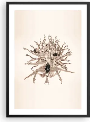 Produktbild von Gerahmtes Poster - Schwarzer Rahmen - Modern Stück Ballett - 50x70 cm - Wand Bild - Wanddeko - Wandbilder - Kunstposter - Wandposter - Bilderrahmen - Bilder - Kunstdruck - P2BPA50x70-4636