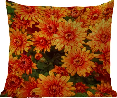 Produktbild von MuchoWow® Outdoor Kissen - Blumen - Orange - Chrysantheme - 45x45 cm - Wetterfest - Lounge Kissen - Fotokissen - Dekoratives Kissen