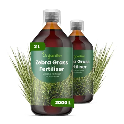 Produktbild von Flüssigdünger Für Zebragras 2x1L – 2-1-8 NPK – Flüssig-Pflanzendünger Für Zebragras – Für Gleichmäßiges Wachstum, Blattkraft & Vitalität – Organifer