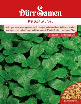 Produktbild von Feldsalat Vit 250 g | Feldsalatsamen von Dürr Samen