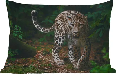 Produktbild von MuchoWow® Outdoor Kissen - Wildtiere - Leopard - Dschungel - Natur - 50x30 cm - Wetterfest - Lounge Kissen - Sofa kissen - Wohnzimmer Dekoration