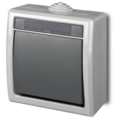 Produktbild von Elektroplast Two Way Swith Aquant Grey Ip55 1201-10