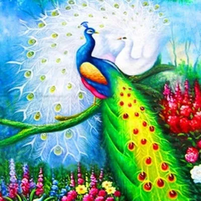 Immagine prodotto di Diamante Mosaico Pavone 1005258