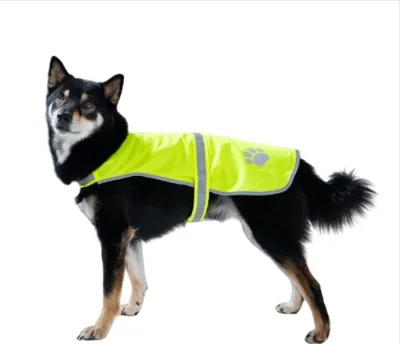 Produktbild von INF Reflektierende Haustier Sicherheitsweste - Anti-Verlust Hunde Weste für Nachts Grün XL