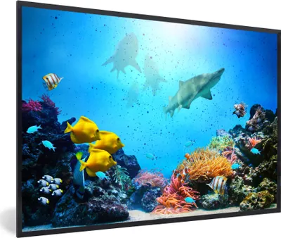 Produktbild von MuchoWow® MuchoWow® Gerahmtes Poster Meer - Fische - Korallen 60x40 cm - Poster mit zchwarzem Bilderrahmen - Printing - Wanddeko Schlafzimmer