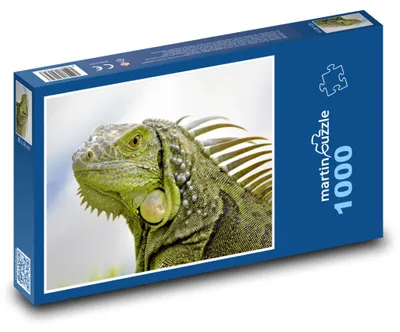 Obrázok produktu pre Puzzle 1000 Leguán v Džungli - martinpuzzle