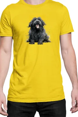 Zdjęcie produktu dla Męska Koszulka Funny Dogs Breeds Newfoundland Dog Breed, Man M / Żółty