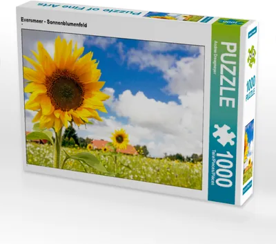 Produktbild von CALVENDO Puzzle Eversmeer - Sonnenblumenfeld | 1000 Teile Lege-Größe 64x48cm Foto-Puzzle für glückliche Stunden